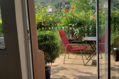 Blick in den Garten